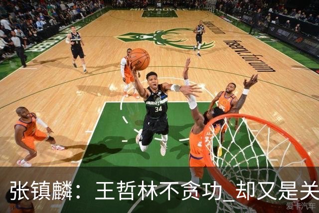 张镇麟：王哲林不贪功 却又是关键时刻能站出来的人 队长当之无愧